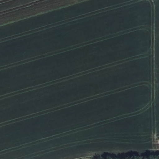Later aerial view of the same cultivated field with darker seasonal crop cover