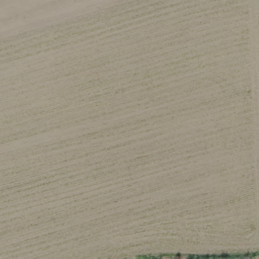 Earlier aerial view of a pale cultivated field