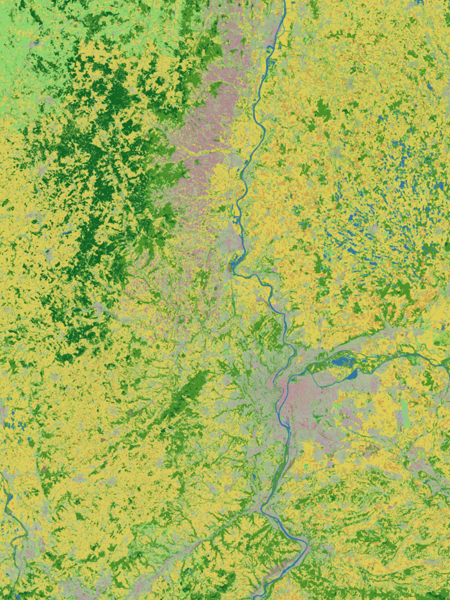 IGN CoSIA land-cover map of the Rhône study area, with forest visible in green