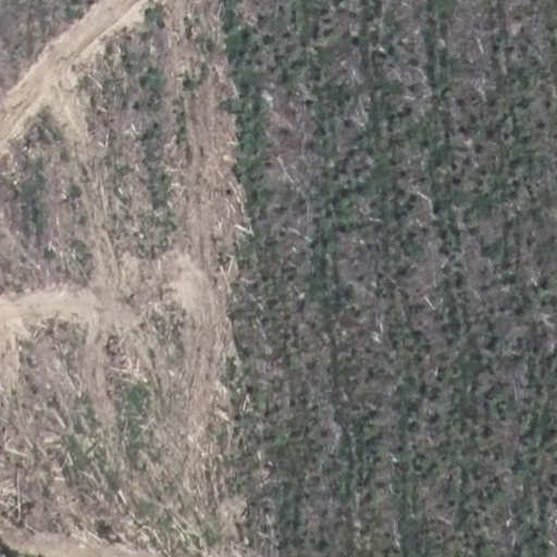 The same location after a large forest clearing in 2023.